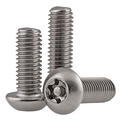 İNOX GÜVENLİK CİVATASI B.BAŞ PİMLİ TORX M6x16